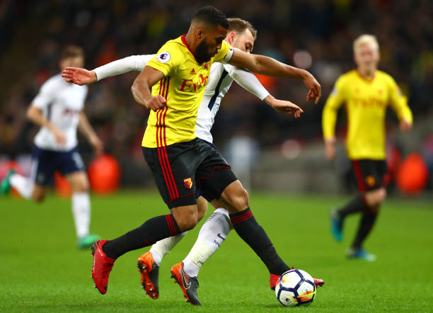 热情球迷 热情球迷